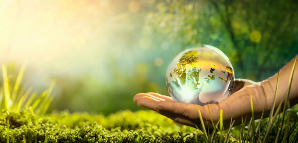 Nutrycell Avessence - Integratore Alimentare rimedi naturali sintomi fibromialgia