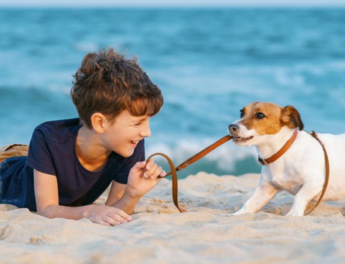 Giornata Internazionale del Cane – Fanno bene a bimbi e anziani, alla salute e alla società